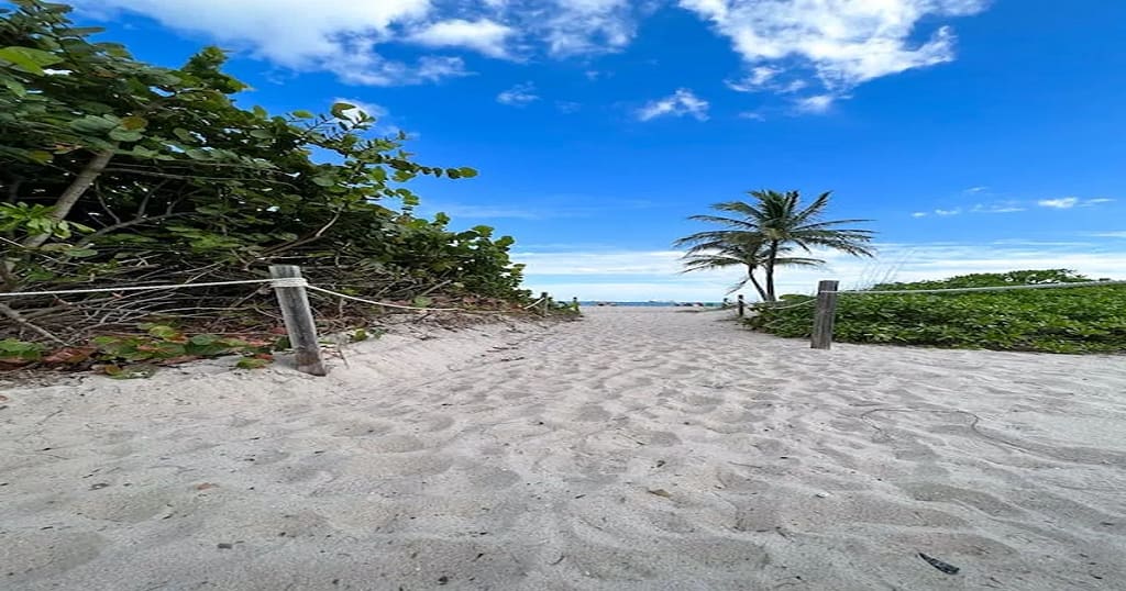 The serene beach of Florida