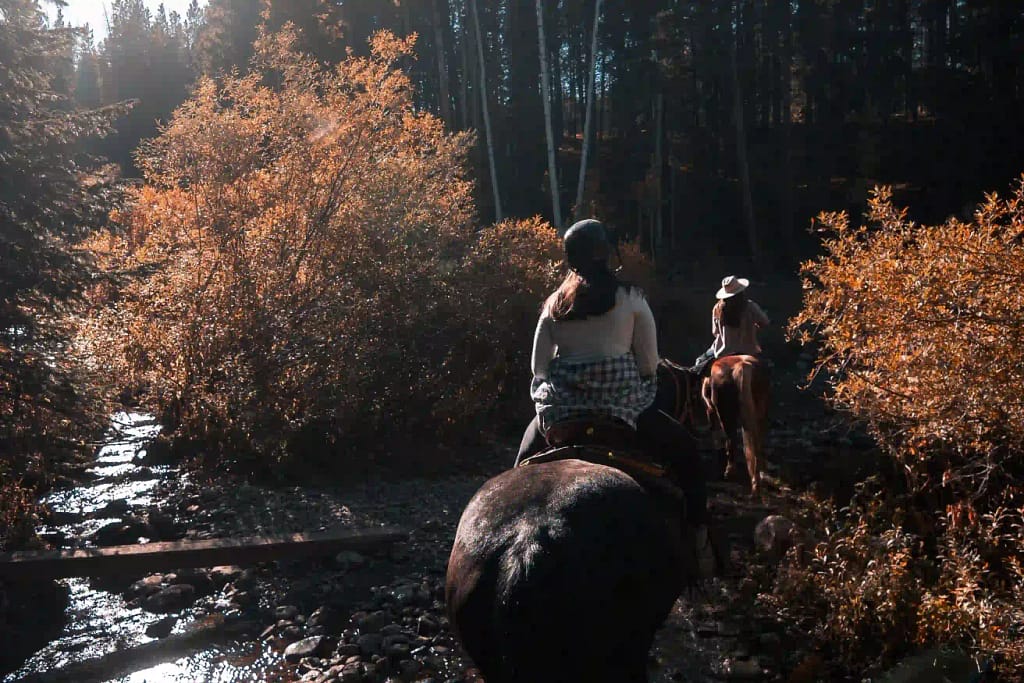 A couple riding on horse through the forest. 