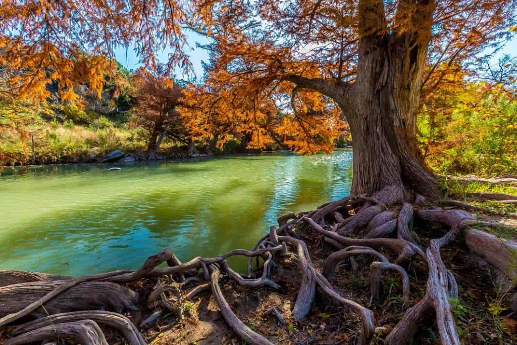 The Guadalupe River 