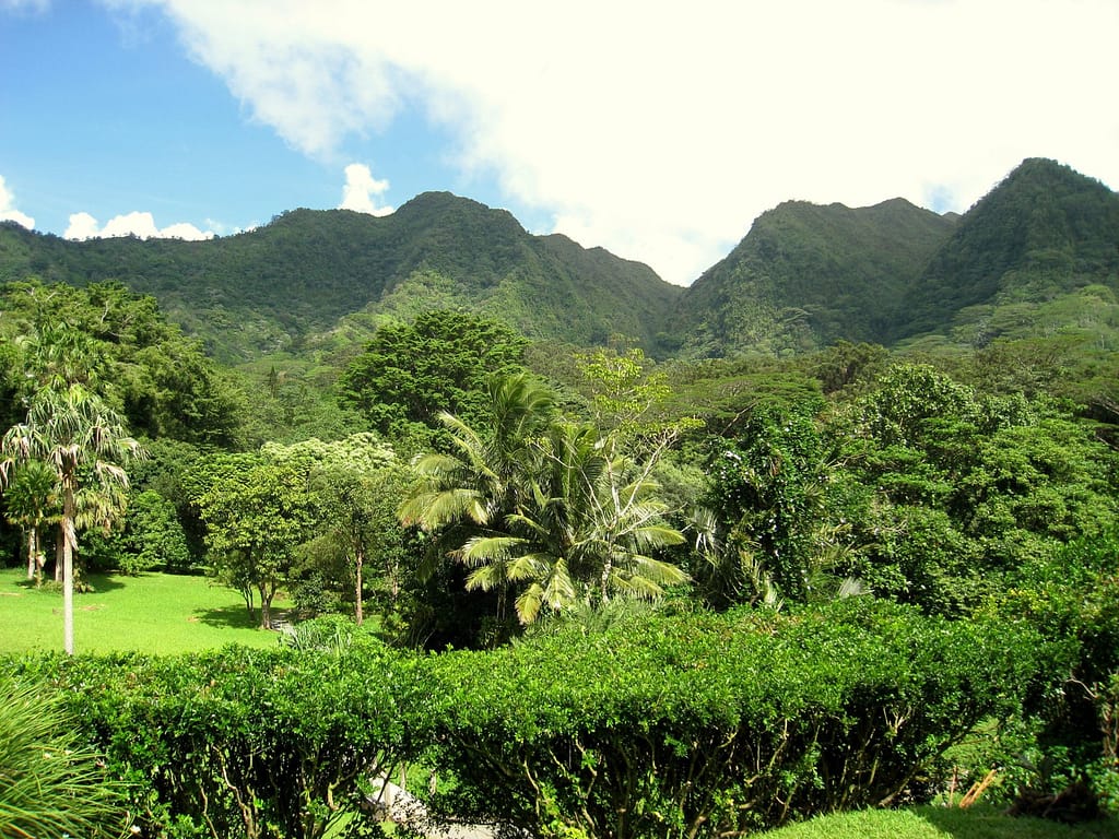 Lyon Arboretum Oahu Hawaii general view 1