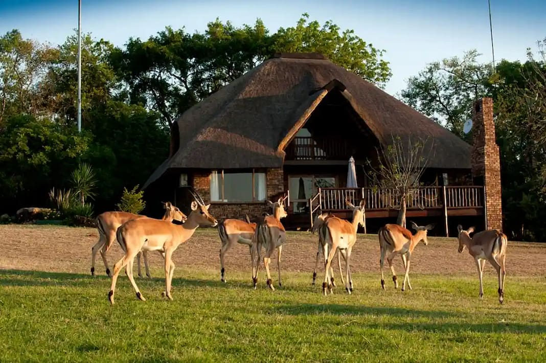 Is Kruger national park worth visiting
