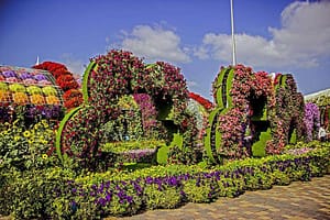 Beautiful miracle garden in places to visit in UAE