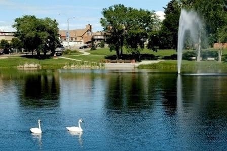 a lake with two swans in  top attractions in Camrose, Canada.