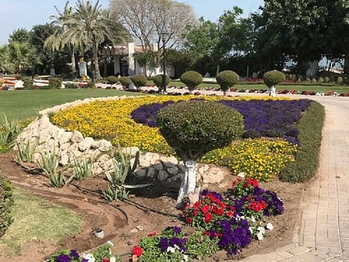 a colorful garden in  tourist attractions in Al Wakrah, Qatar