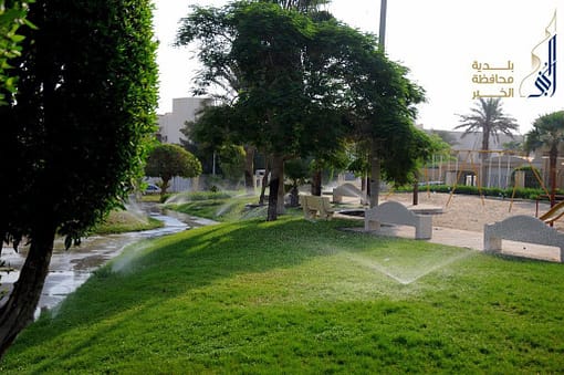 green trees on green grass in a park in places to visit in Najran, Saudi Arabia