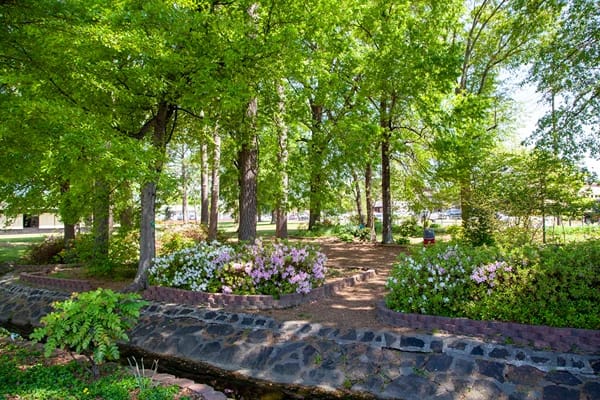 Trees and flowers in Spring Park, things to do in searcy arkansas