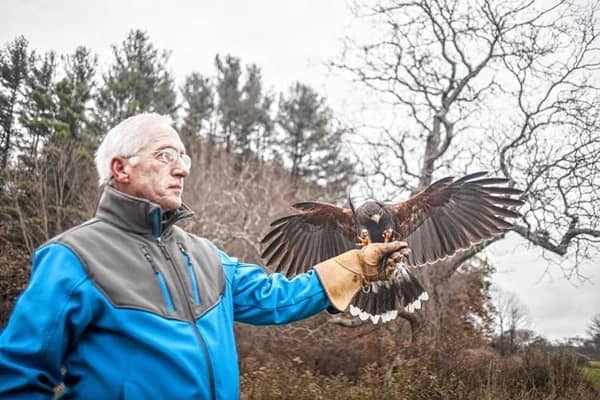 a man holding a hawk