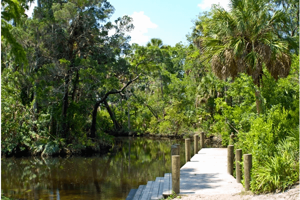 James E. Grey Preserve with tress and a lake