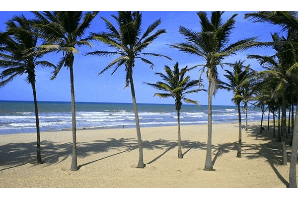 beaches in fortaleza