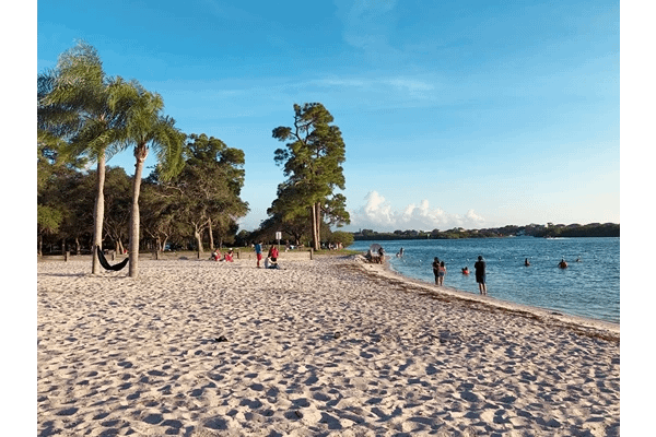 A beach with people and trees