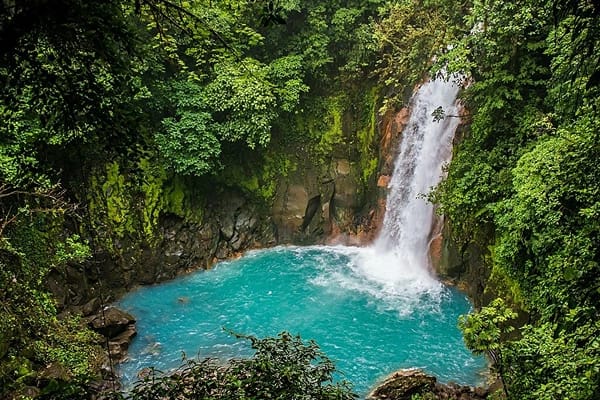 A waterfall with foamy water pouring into a pool of bright blue water in a large pit surrounded by branching trees and green leaves.