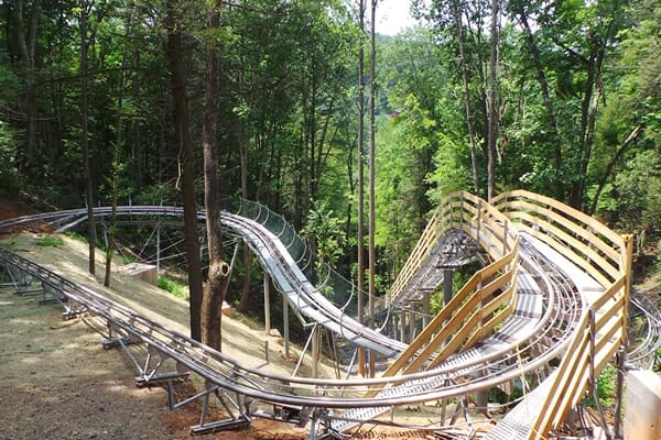 A rollercoaster winding through tall trees and surrounded by many trees and thick greens.