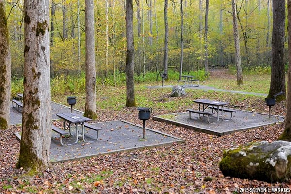 A park with sitting benches and tables surrounded by trees and dried leaves on the ground.