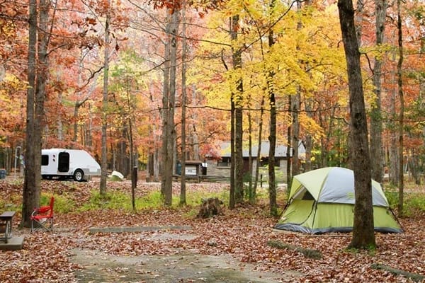 Tall trees with red leaves and a small house in the middle with a tent on the lawn and an RV.