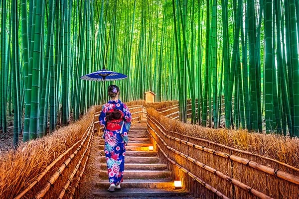 A woman walking through a bamboo farm on a wooden road