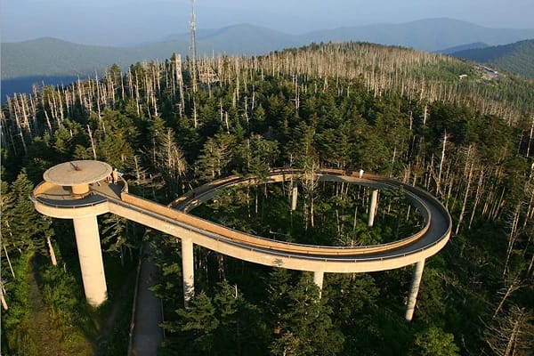 Many trees surrounding the Clingmans Dome under the evening sky.