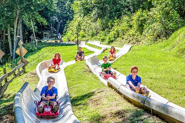 Children and Adults riding through a slide surrounded by green grass and tall trees under the afternoon sun.