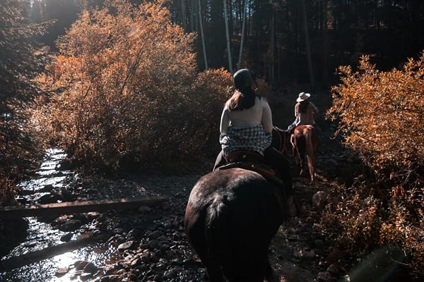 Two people riding a horse through a creek with tall trees surrounding