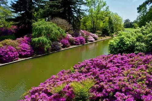 Visit the Norfolk Botanical Garden