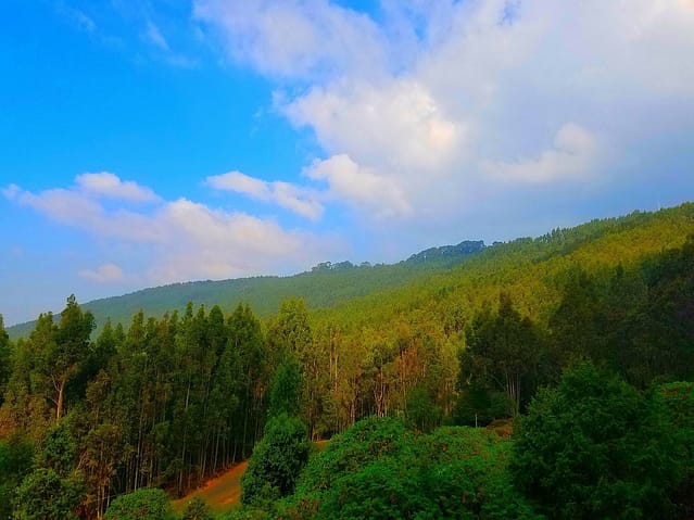 green highlands (beautiful spots in Ethiopia)