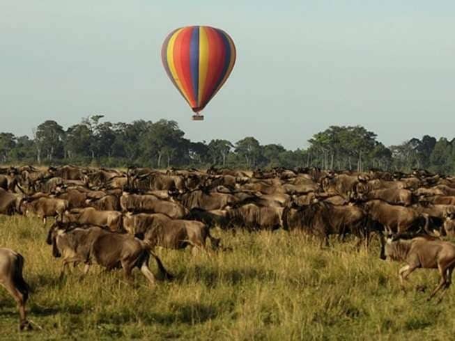 Hot Air Balloons in Maasai Mara, Kenya