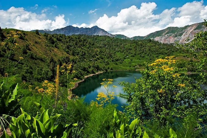 a blue lake in the middle of green flowers during daytime