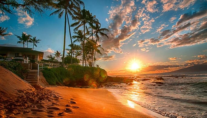 A beautiful beach during sunset with palm tress, waters and sands reflecting the yellow and orange colors of the sun.