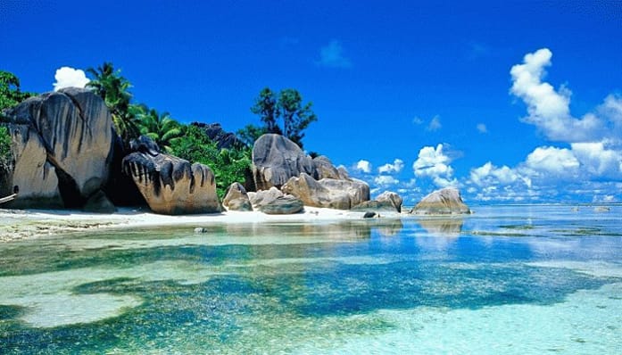 A scenic beach with different rock sizes, palm tress, a clear water and sky above it.