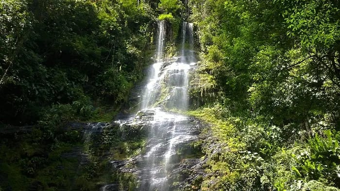 waterfalls in trinidad
