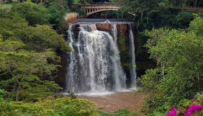 A beautiful waterfall in Kenya, flowing under a bridge, with lots of green trees overlapping around it.