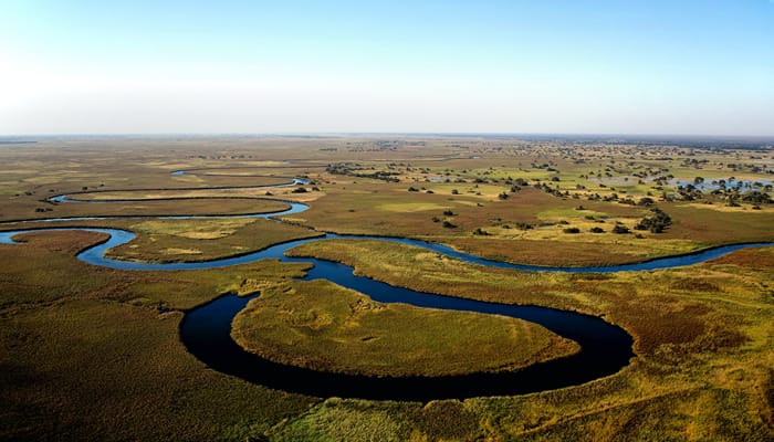 Huge Safari in Botswana with shallow waters and scanty vegetations