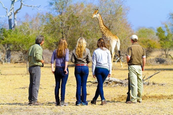 Tourists watching a Giraffe