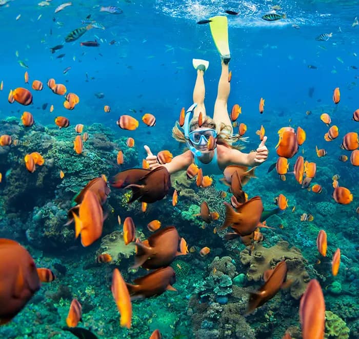  Go on a snorkeling adventure: Aruba or Bahamas: Which Destination Is Right For You?