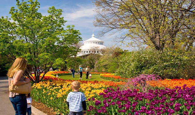 A botanical garden with beautiful flowers, couples, and kids watching