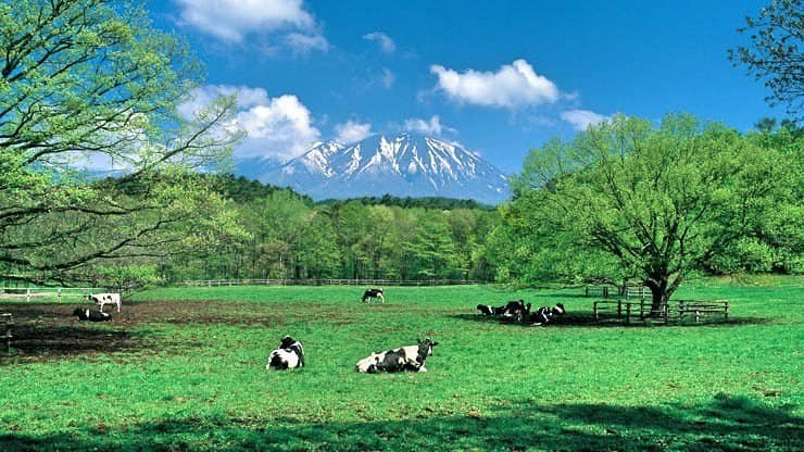 Unique Koiwai Farm attractions in Iwate to visit
