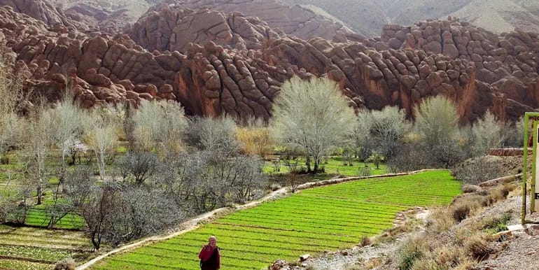 A woman taking a stroll through a path in the valley of roses 
