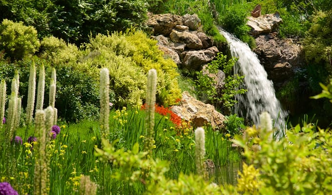 a waterfall from rocks surrounded by different flowers and tress