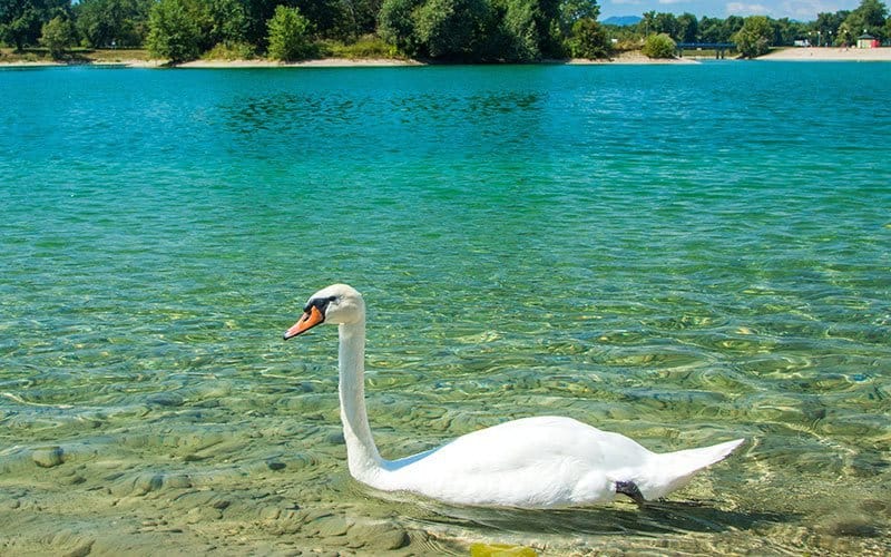 visit Jarun Lake in your list of things to do in Zagreb Croatia