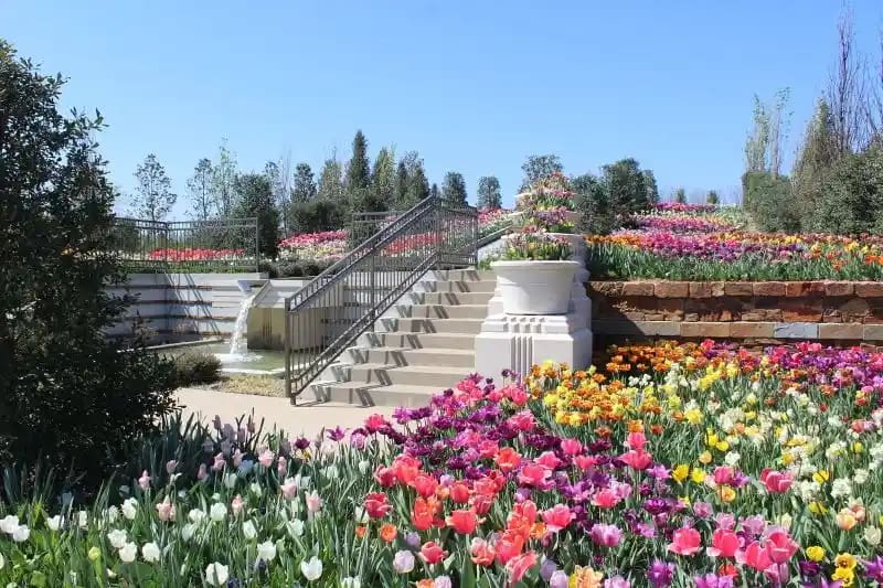 An Arboretum of flowers. Things to do in Shawnee Oklahoma 