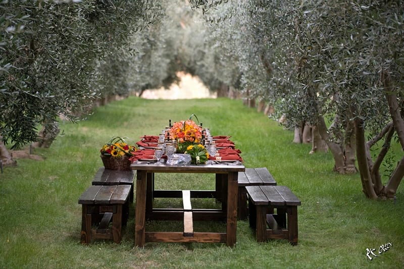 A garden with trees and a table set with glasses and plates. 