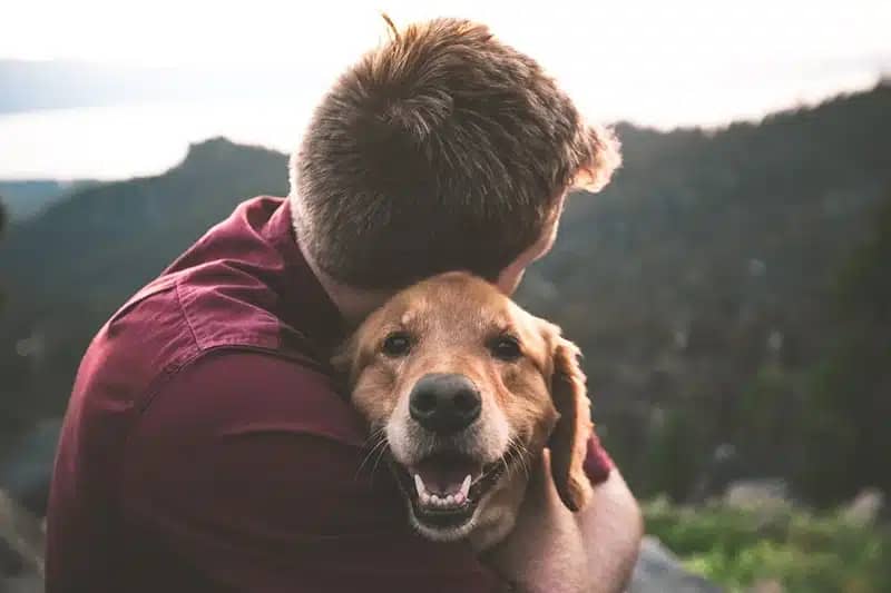 a human man and a dog in a hug 