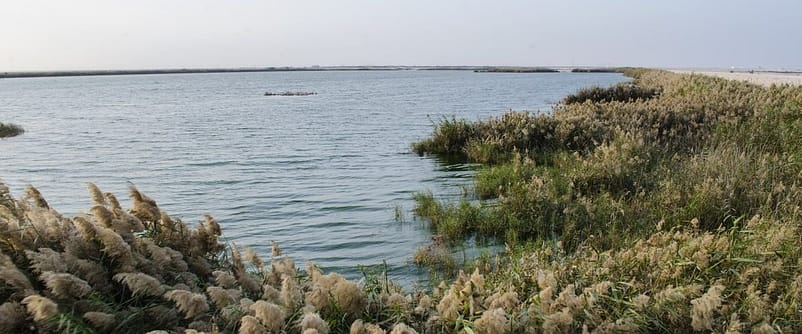 visit Al Karana Lagoon in your list of places to see in Ar Rayyan