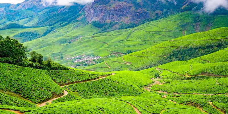 Amazing tea garden in places to visit in Theni