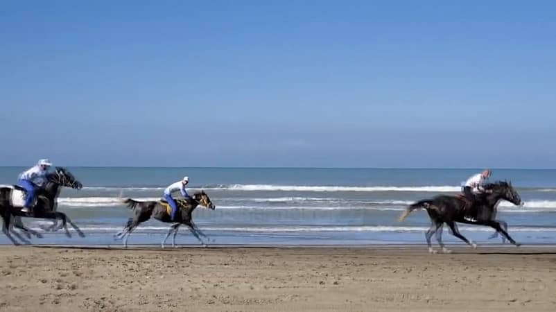 Horse racing in Darëzezë
