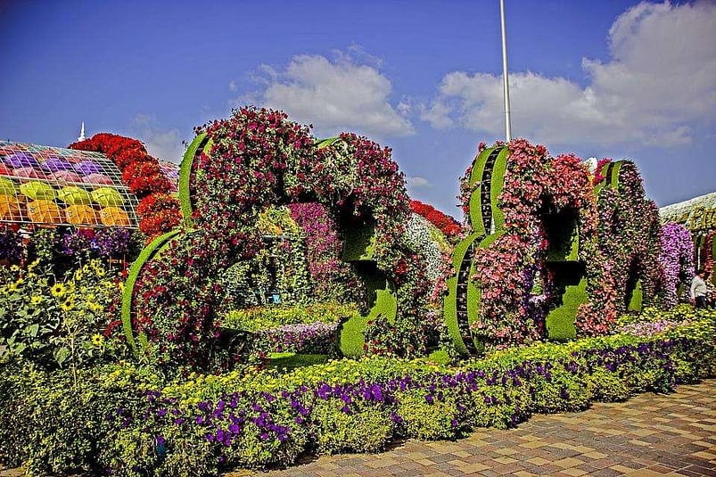 Beautiful miracle garden in places to visit in UAE 