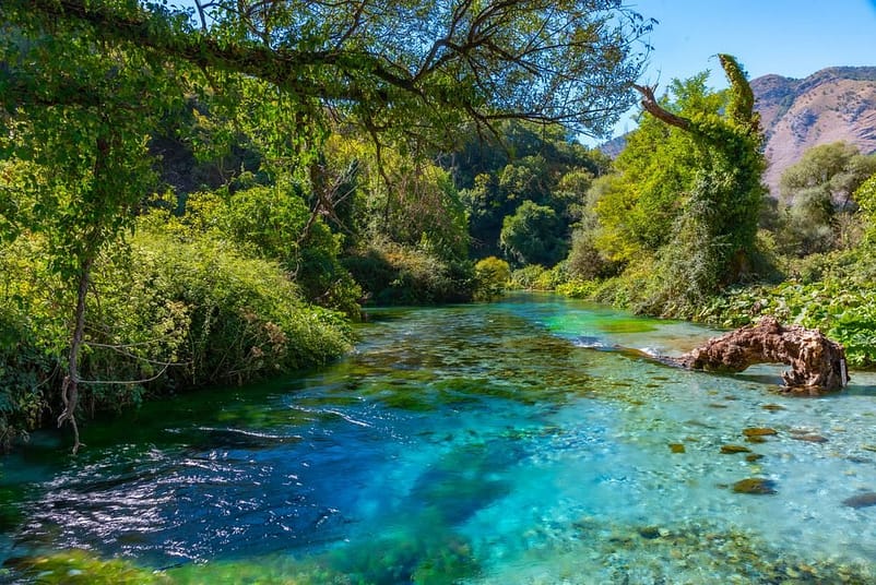 visit Thrilling fresh water spring in your list of things to do in Saranda